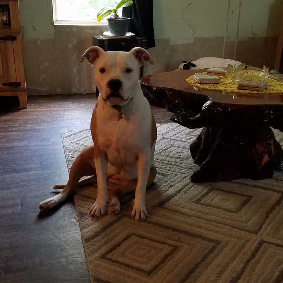 Meet your Posher, Moody - Picture 1 of 1